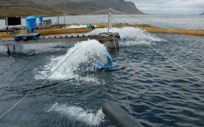Strandbúnaður 2017 – Dagskrá