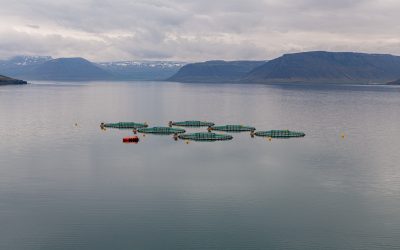 Til fjárhagslegs ávinnings