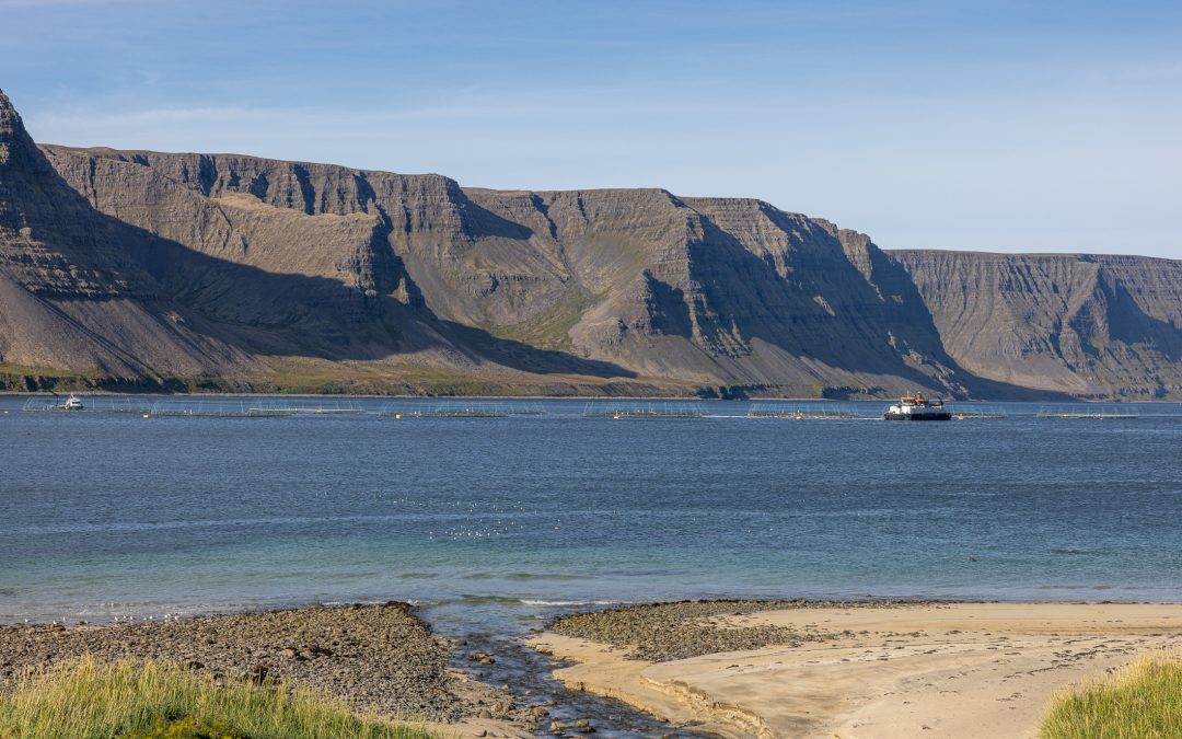 Laxalús, sjókvíaeldi og íslenskir hagsmunir