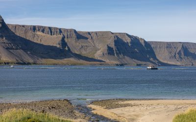 Laxalús, sjókvíaeldi og íslenskir hagsmunir