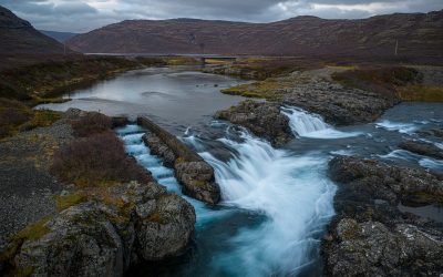 Áhættumat erfðablönduanr