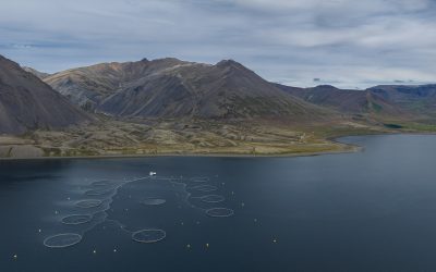 Ársskýrsla samfélagsverkefnis gegn spillingu 2025