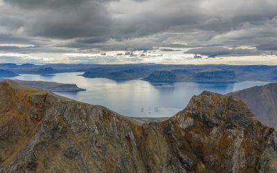 Frumvarpdrög til laga um lagareldi – Umsögn Sjávarútvegsþjónustunnar. III. Kafli. Umhverfisvernd og rannsóknir.