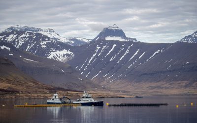 Yfirlit yfir umsagnir Sjávarútvegsþjónustunnar við frumvarp um lagareldi 2026